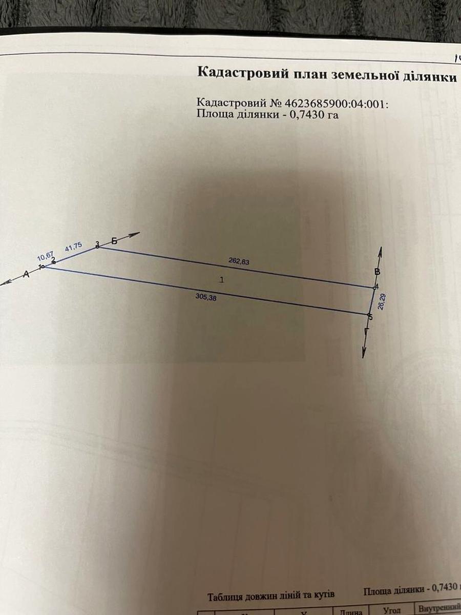 1866422338356034.jpg