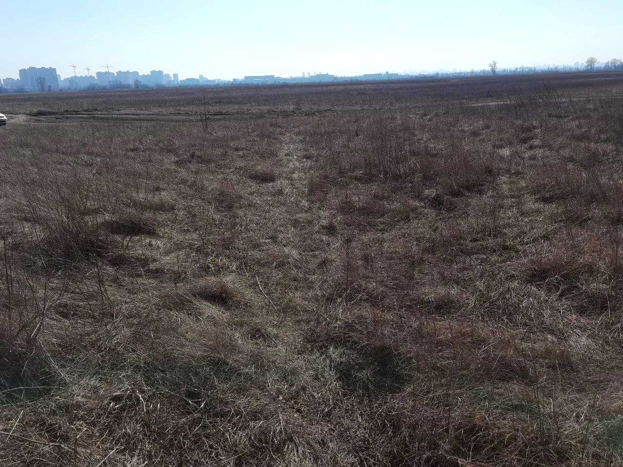 1866433160979980