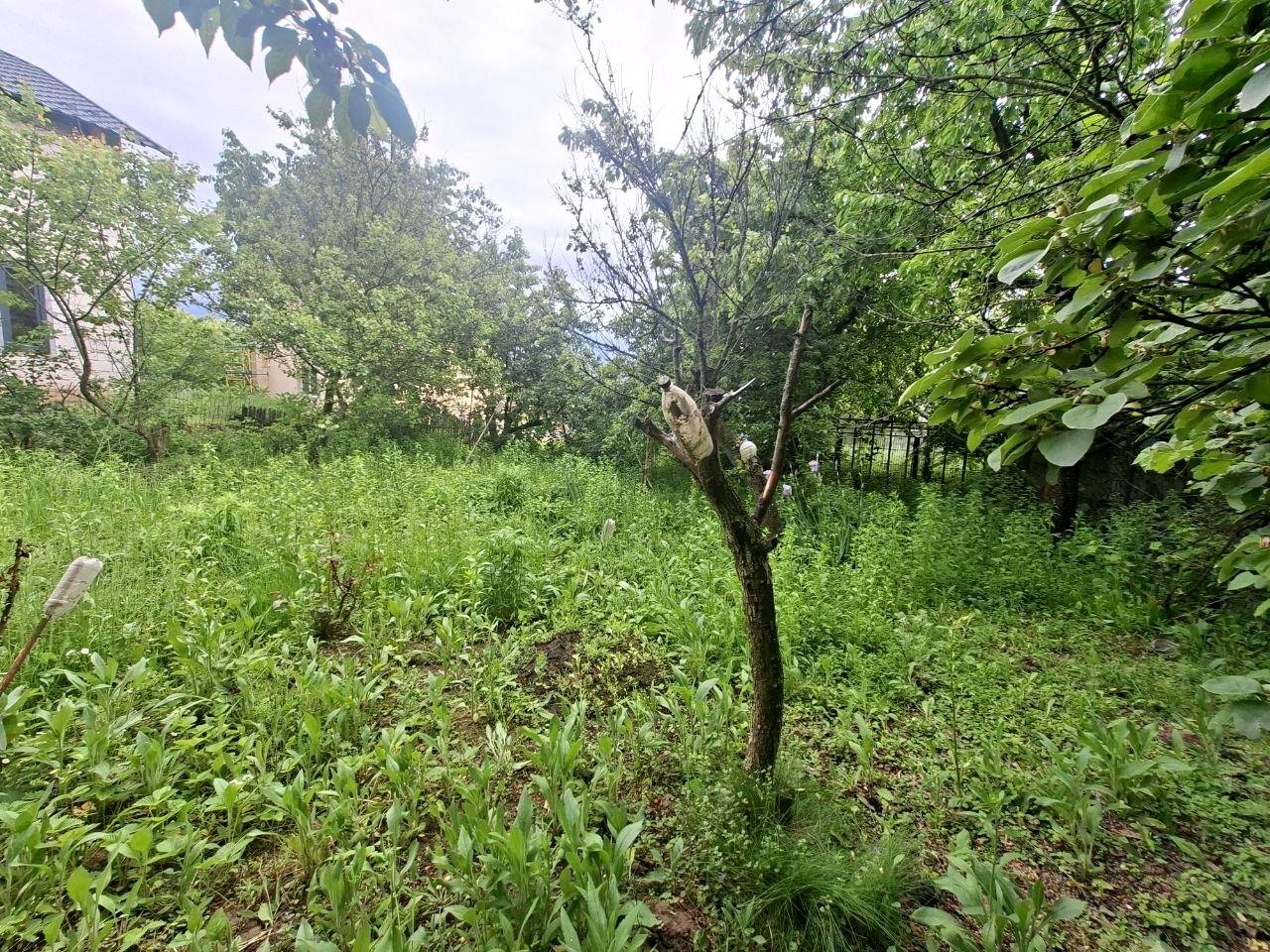 1866511781657320