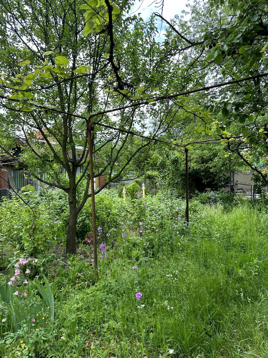 1866528769982211