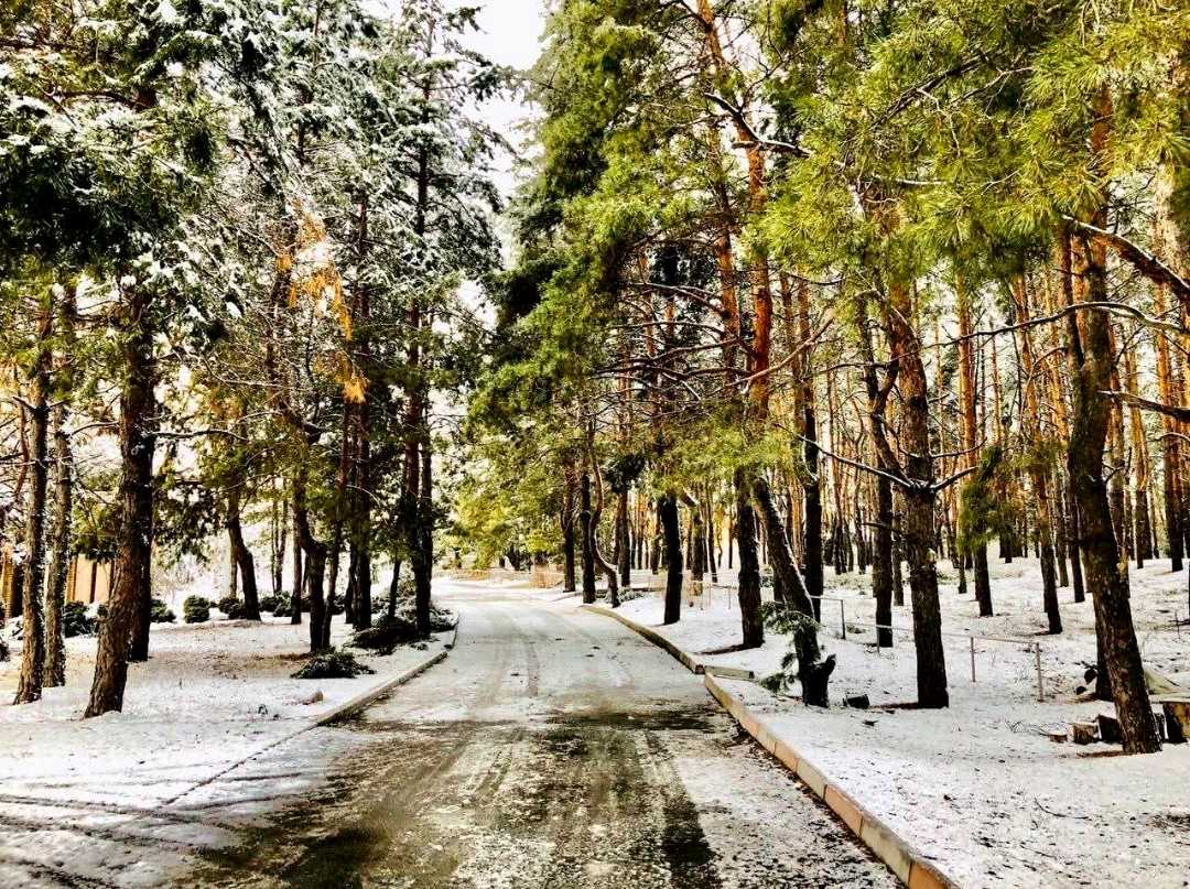1866546718967687