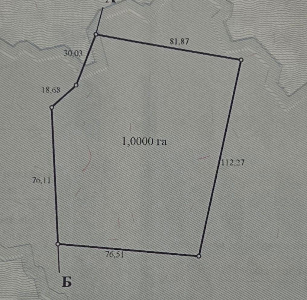 1866612262465017