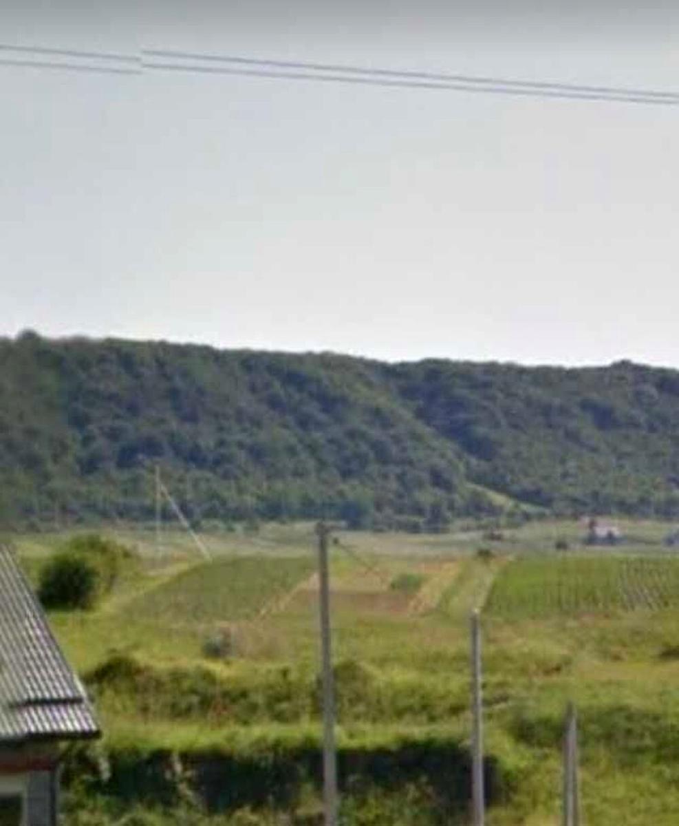 1866626344470034.jpg