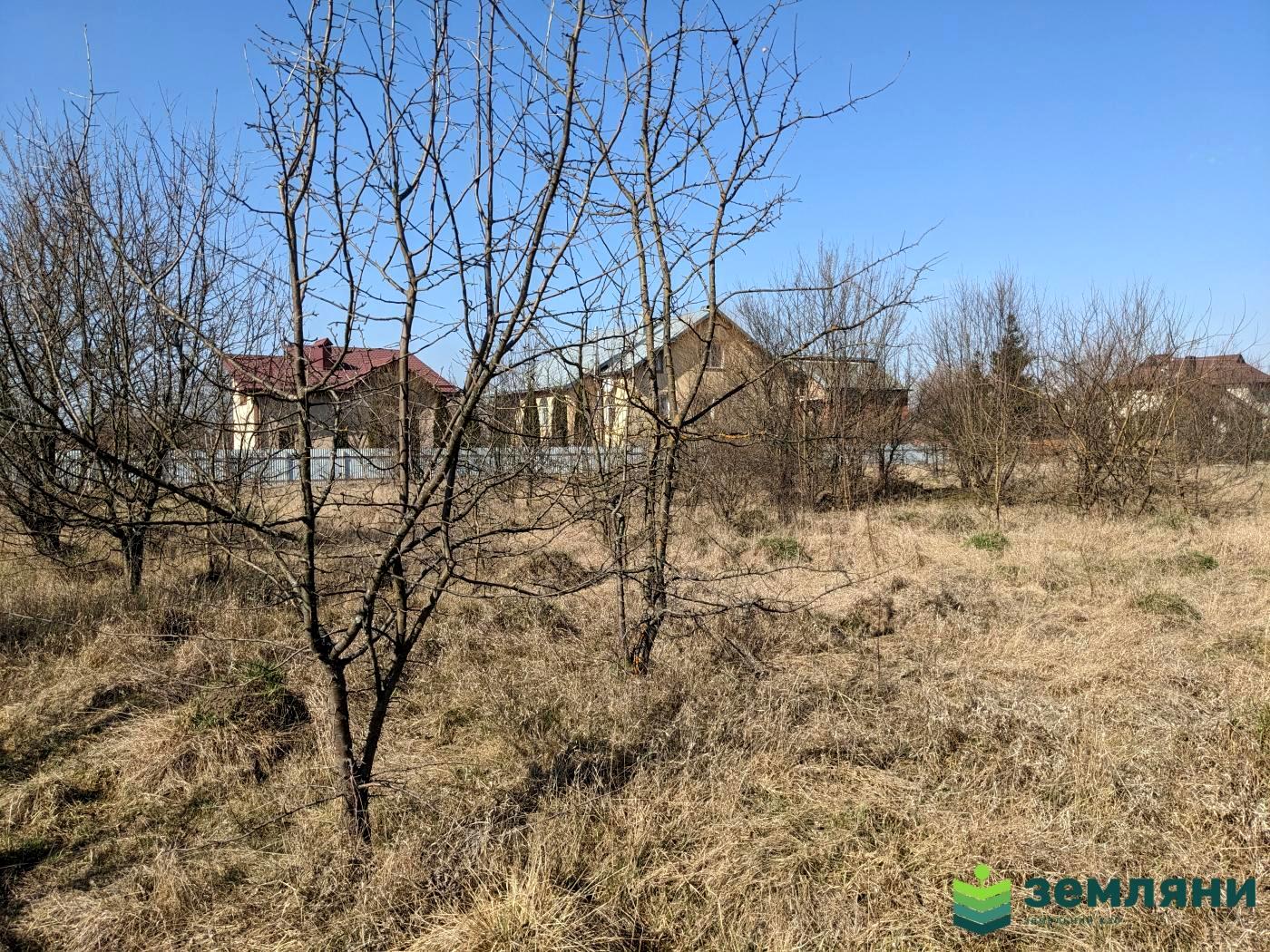 1866674501756031