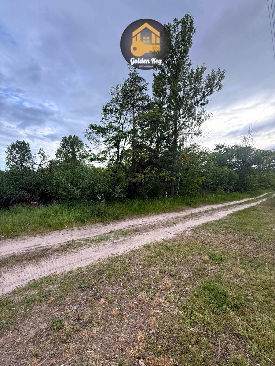 1866863575356443