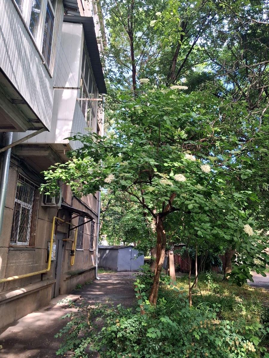 3-кімнатна квартира за адресою Слєпньова пров. (площа 76 м²) - фото 14 3-кімнатна квартира за адресою Слєпньова пров. (площа 76 м²) - Atlanta.ua - фото 14