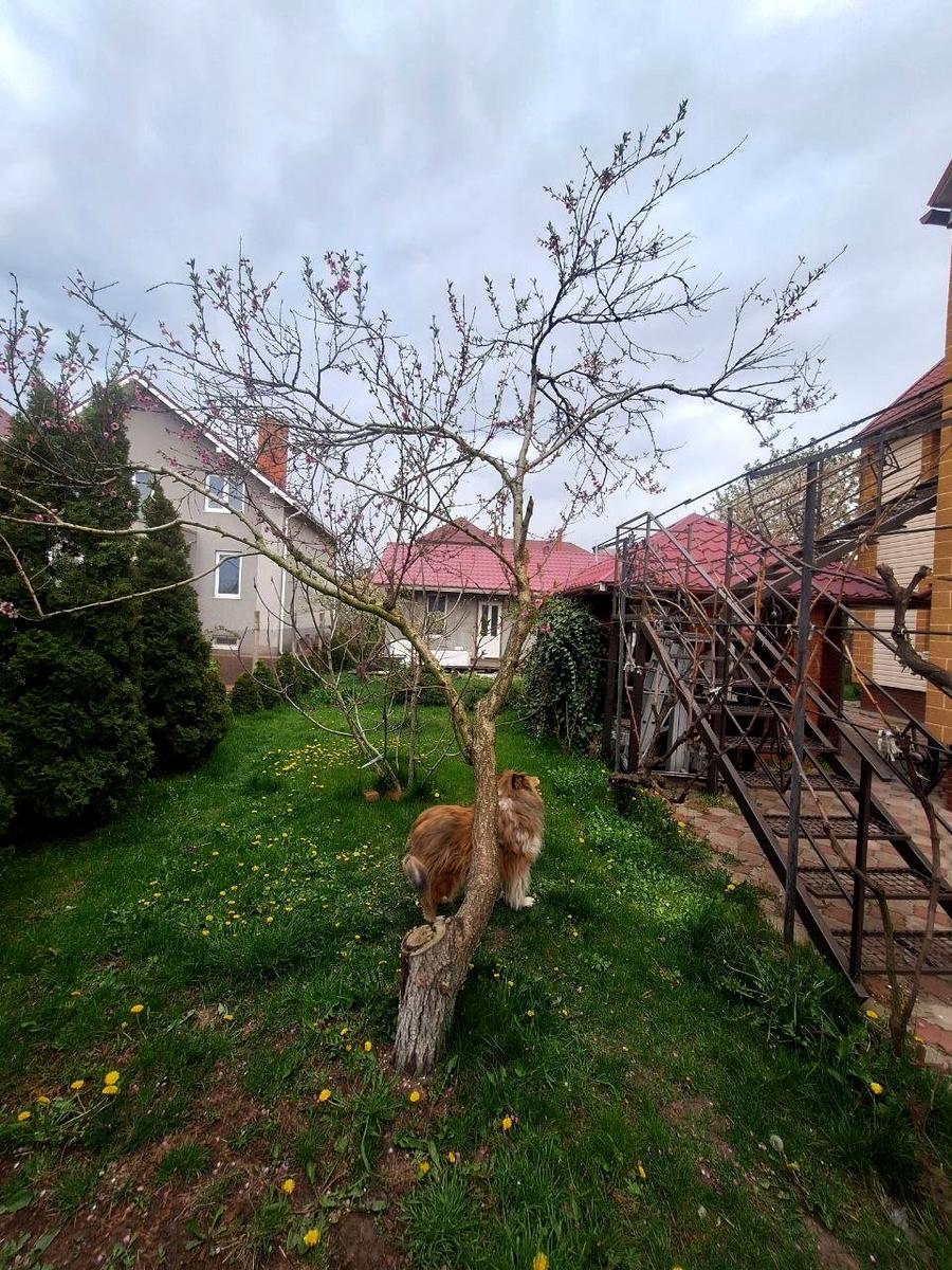 Дом по адресу ул. Франко Ивана (площадь 187 м²) - imageAlt 5 Дом по адресу ул. Франко Ивана (площадь 187 м²) - Atlanta.ua - imageAlt 5