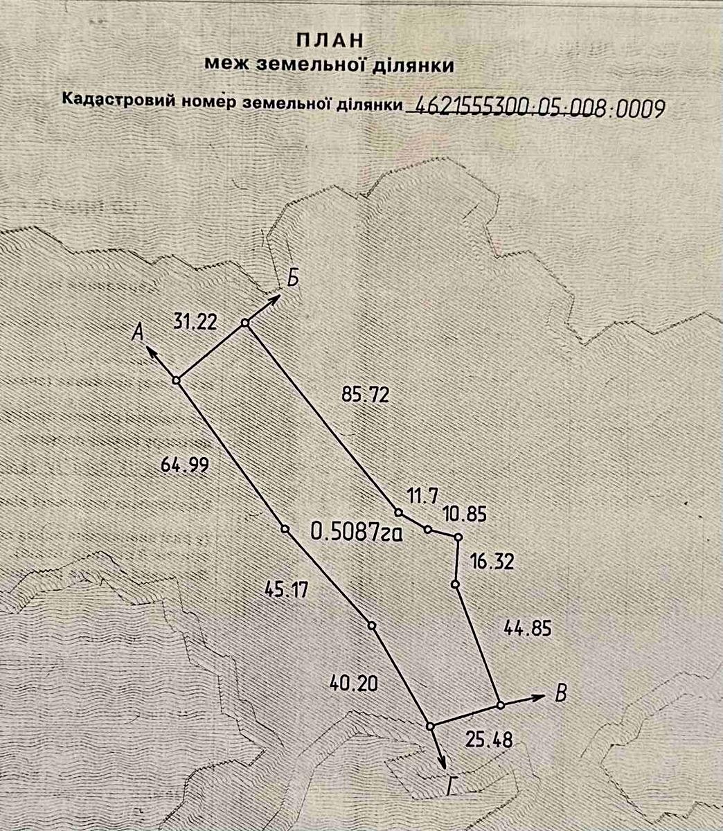 1866906640438733.jpg