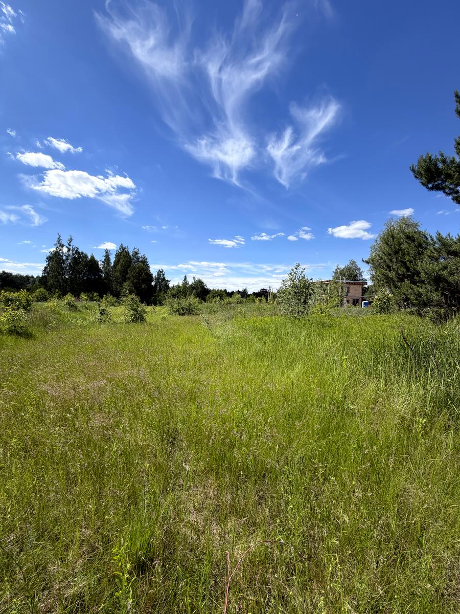 1866997951392492
