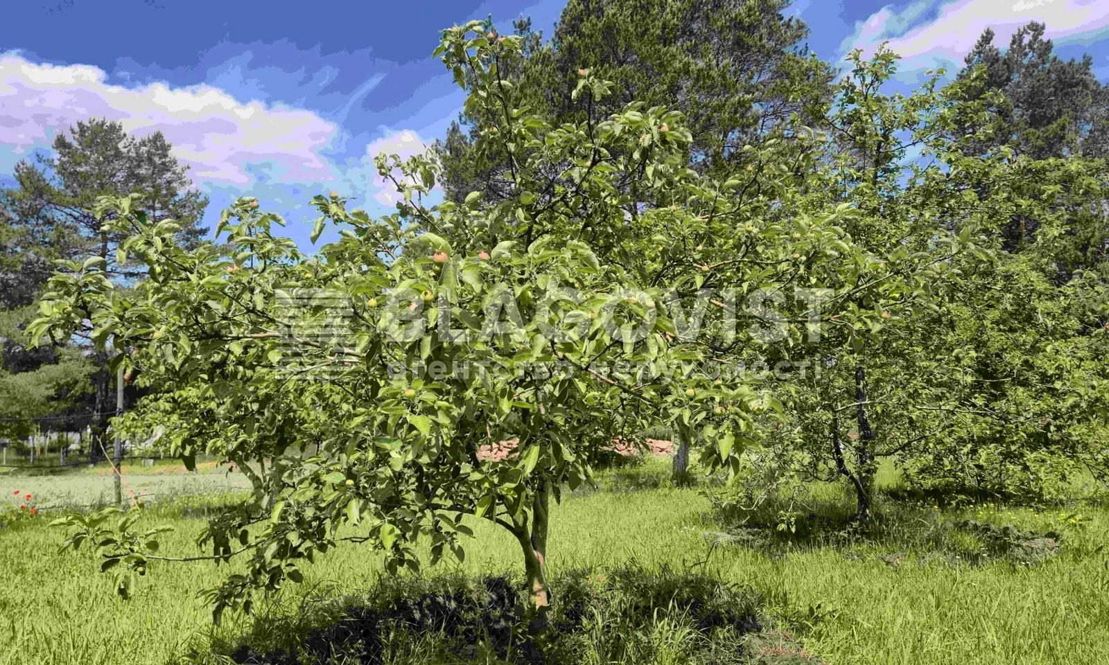 1867054621753527