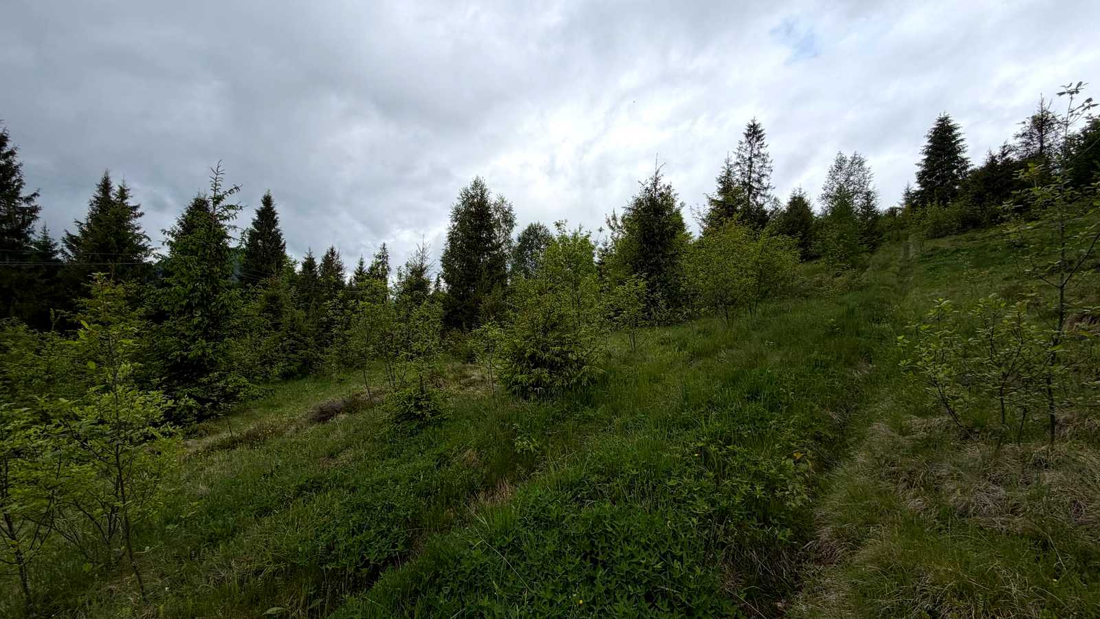 1867059131124083