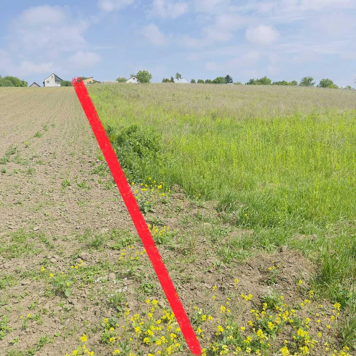 1867066785684788