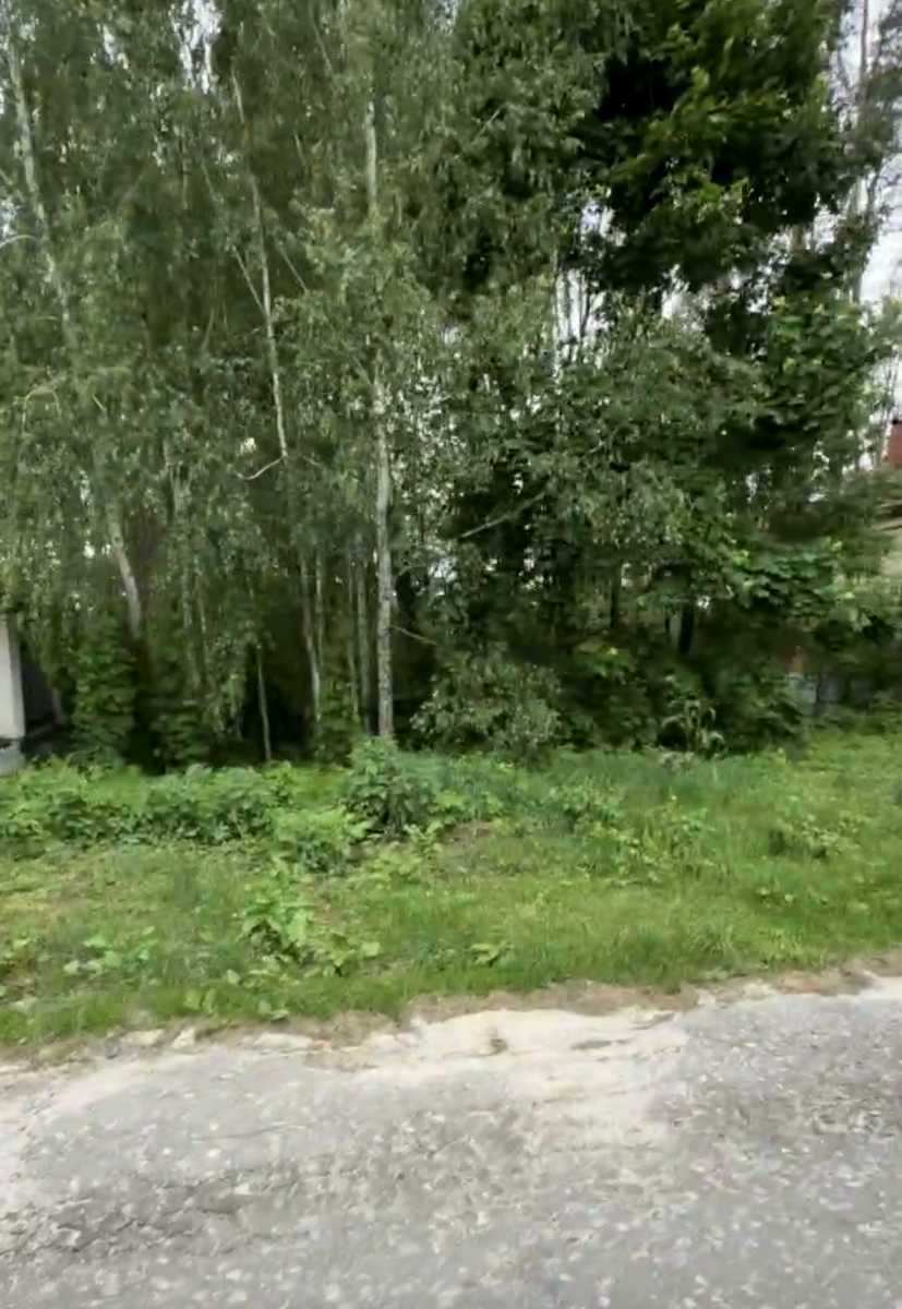 1867074011482074