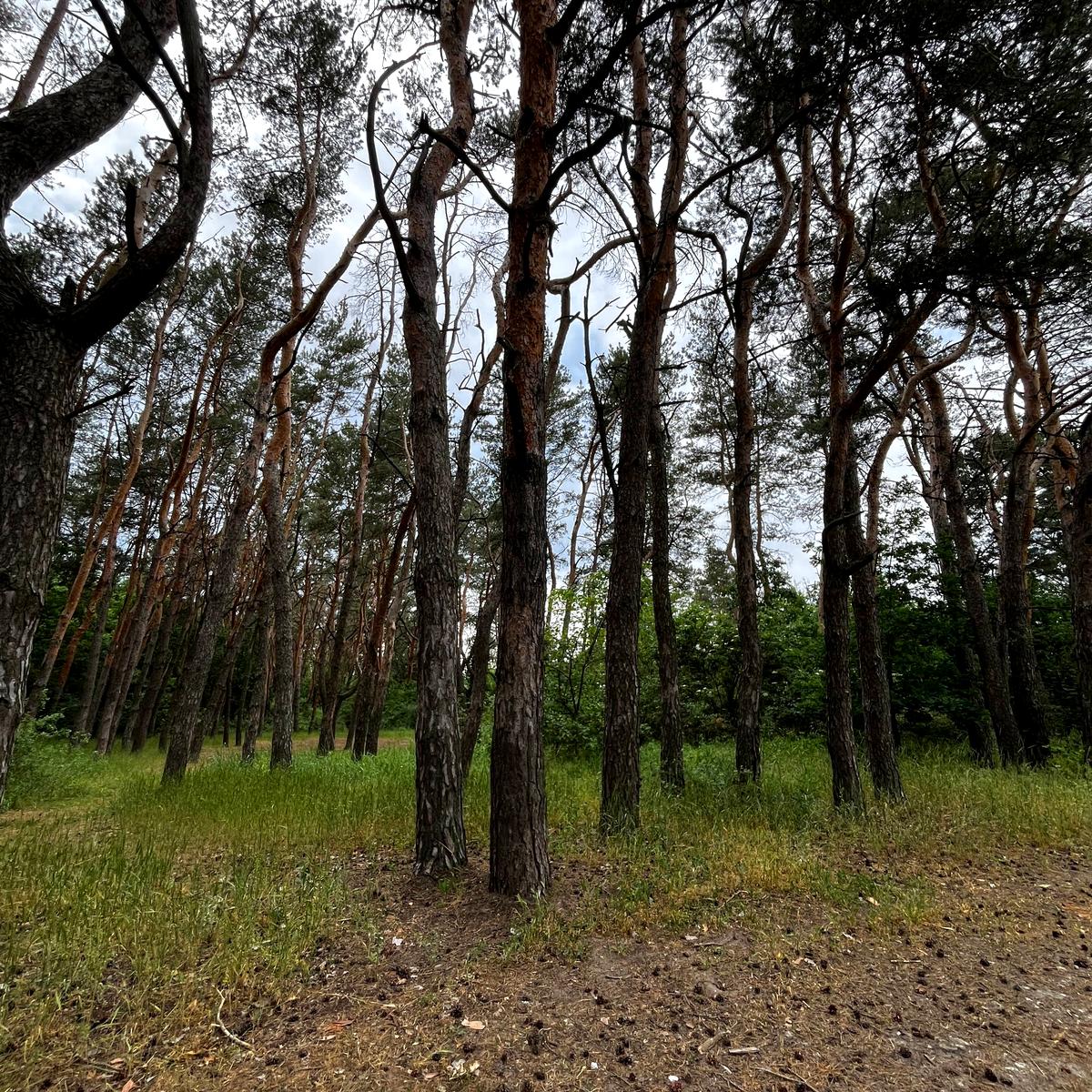 1867152460814575