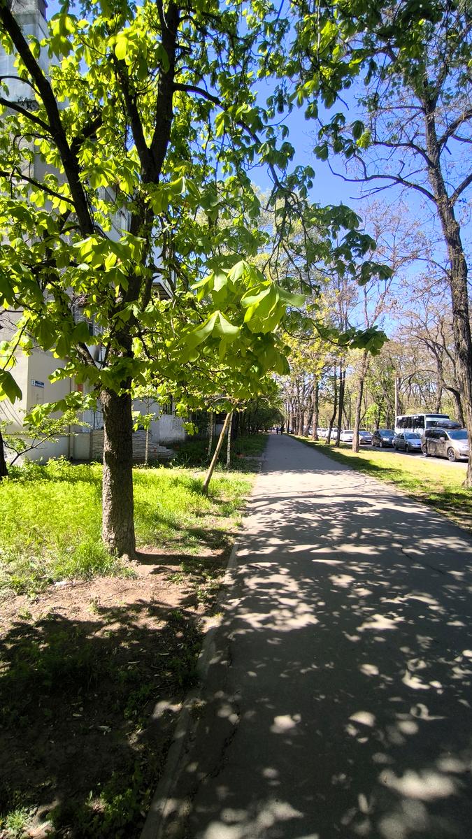 2-комнатная квартира по адресу (площадь 45 м²) 2-комнатная квартира по адресу (площадь 45 м²) - Atlanta.ua