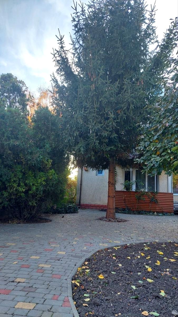 Дом по адресу ул. Багрицкого (площадь 150 м²) - imageAlt 25 Дом по адресу ул. Багрицкого (площадь 150 м²) - Atlanta.ua - imageAlt 25
