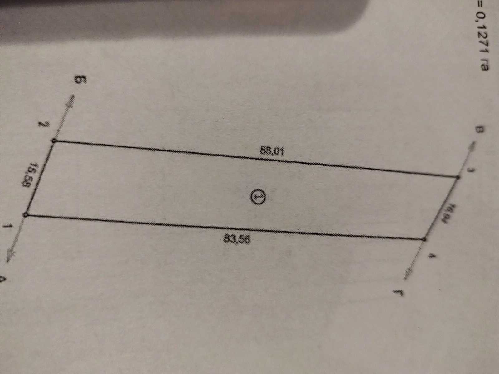 1867186731816330.jpg