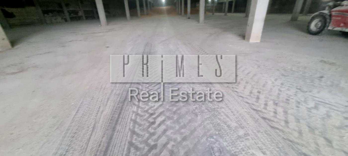 1867420583084338