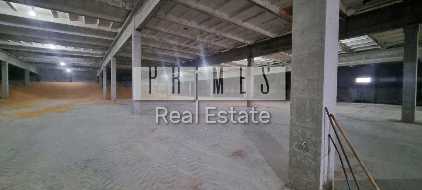 1867420583435378
