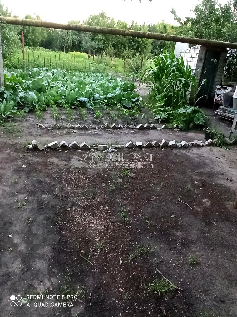 1867431069029830
