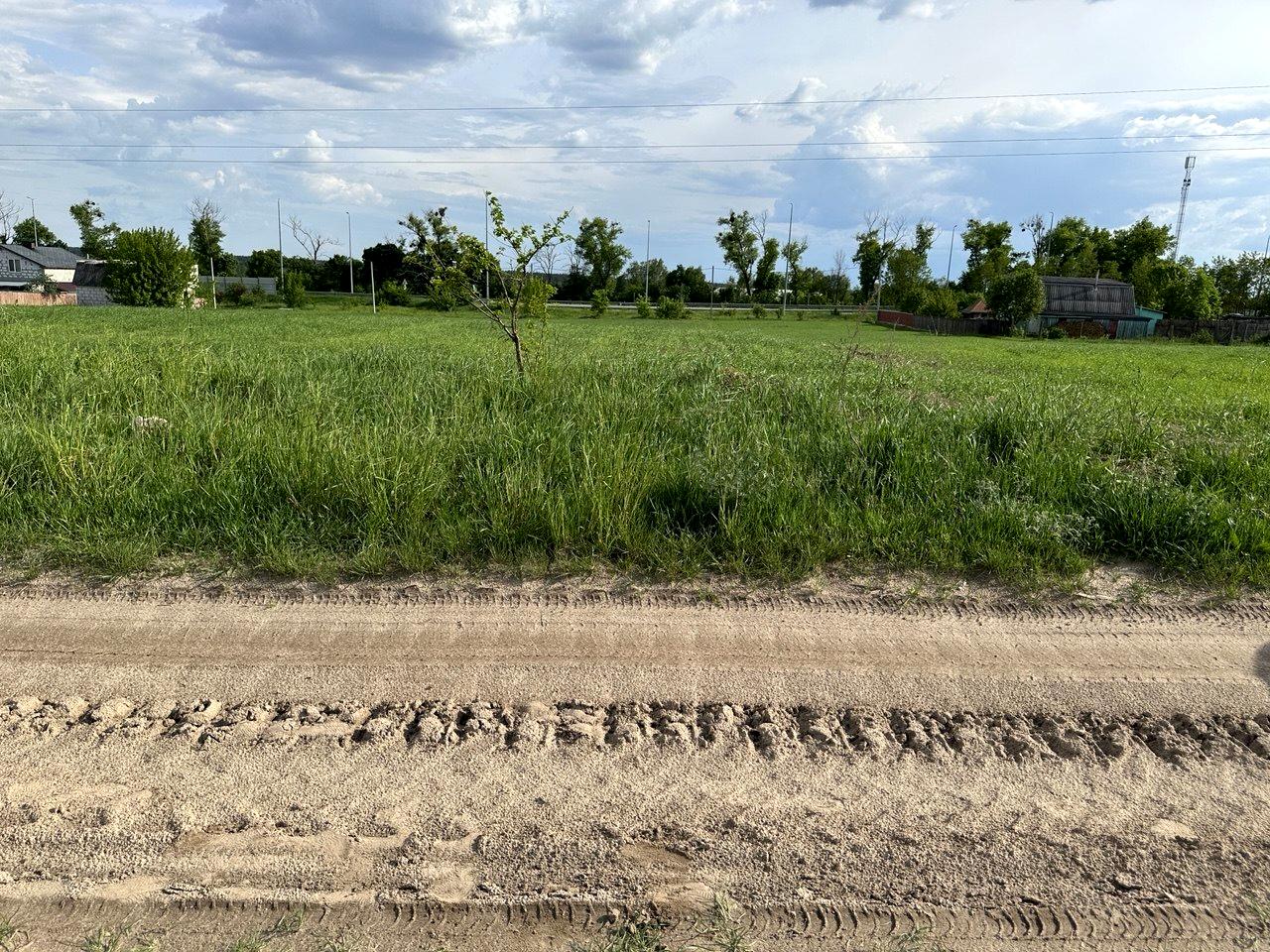 1867431749124765