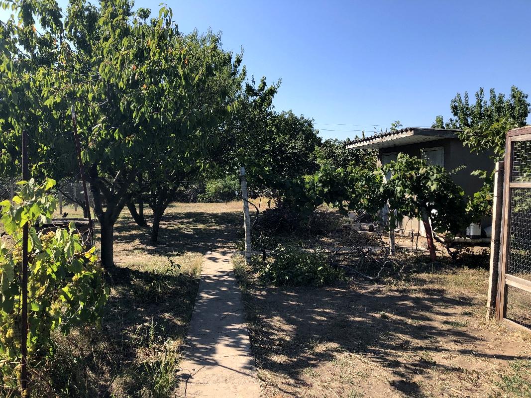 1867432991189791