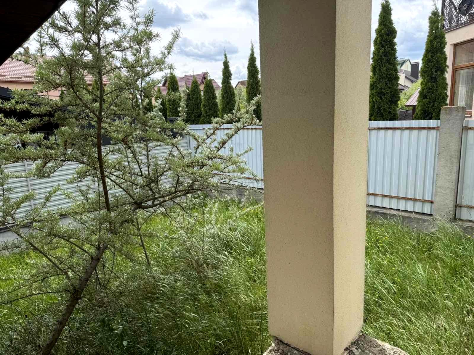 1867455280614826