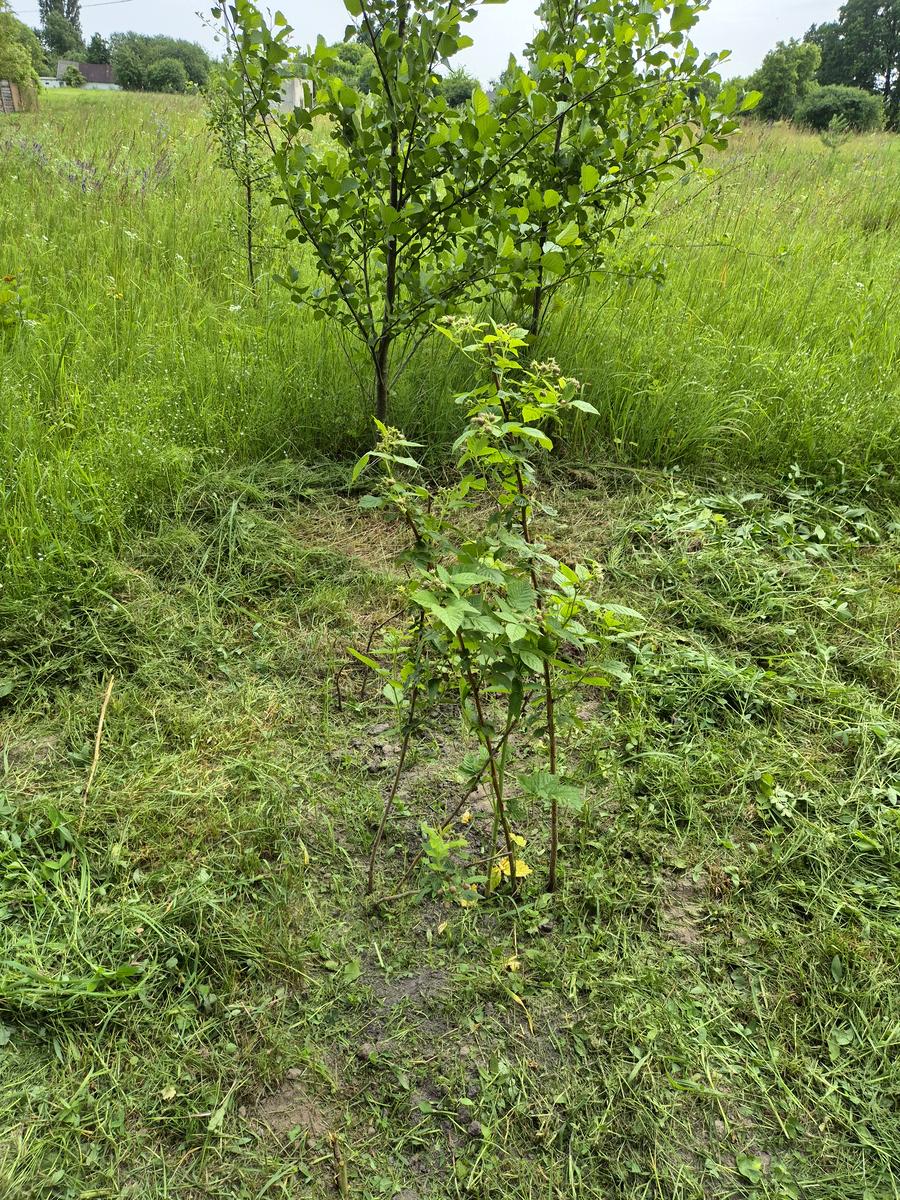 1867511137224717