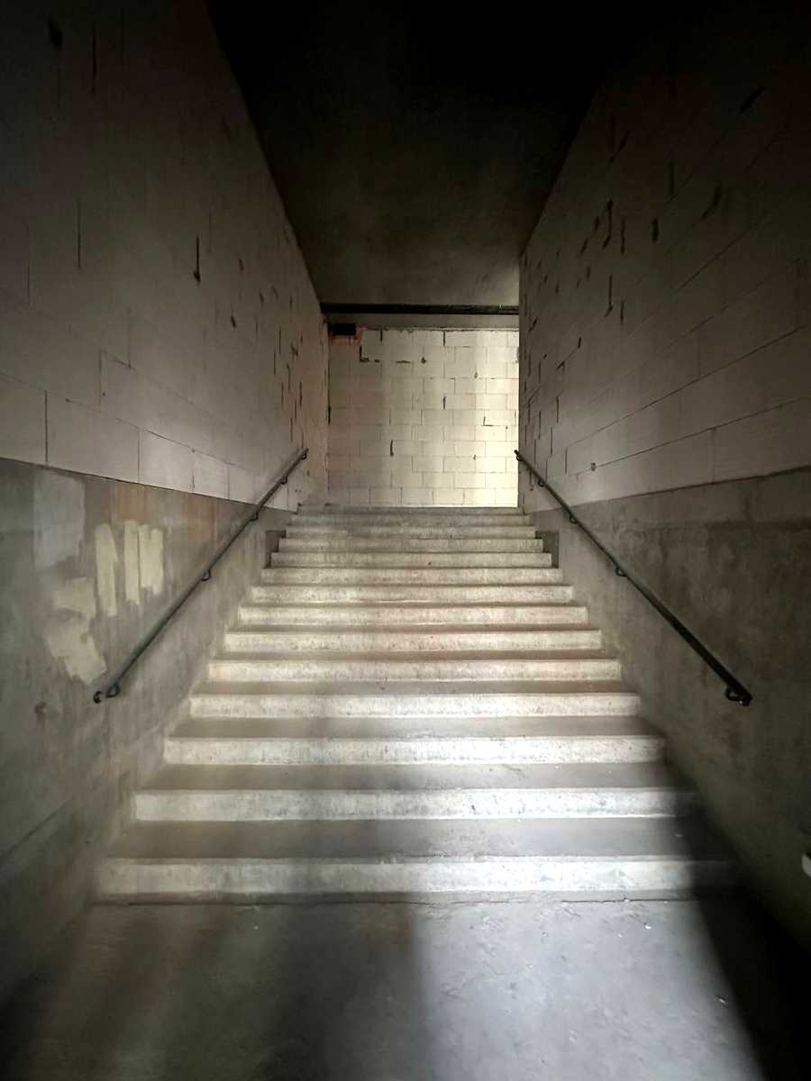 1867514520438611