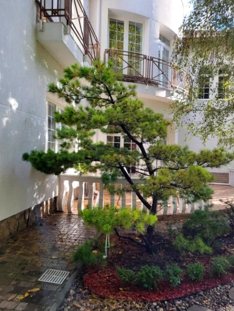 Будинок за адресою вул. Академіка Корольова (площа 650 м²) Будинок за адресою вул. Академіка Корольова (площа 650 м²) - Atlanta.ua