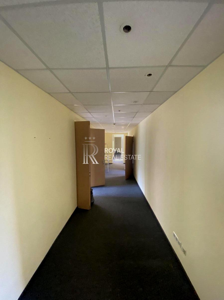 1867521078377282