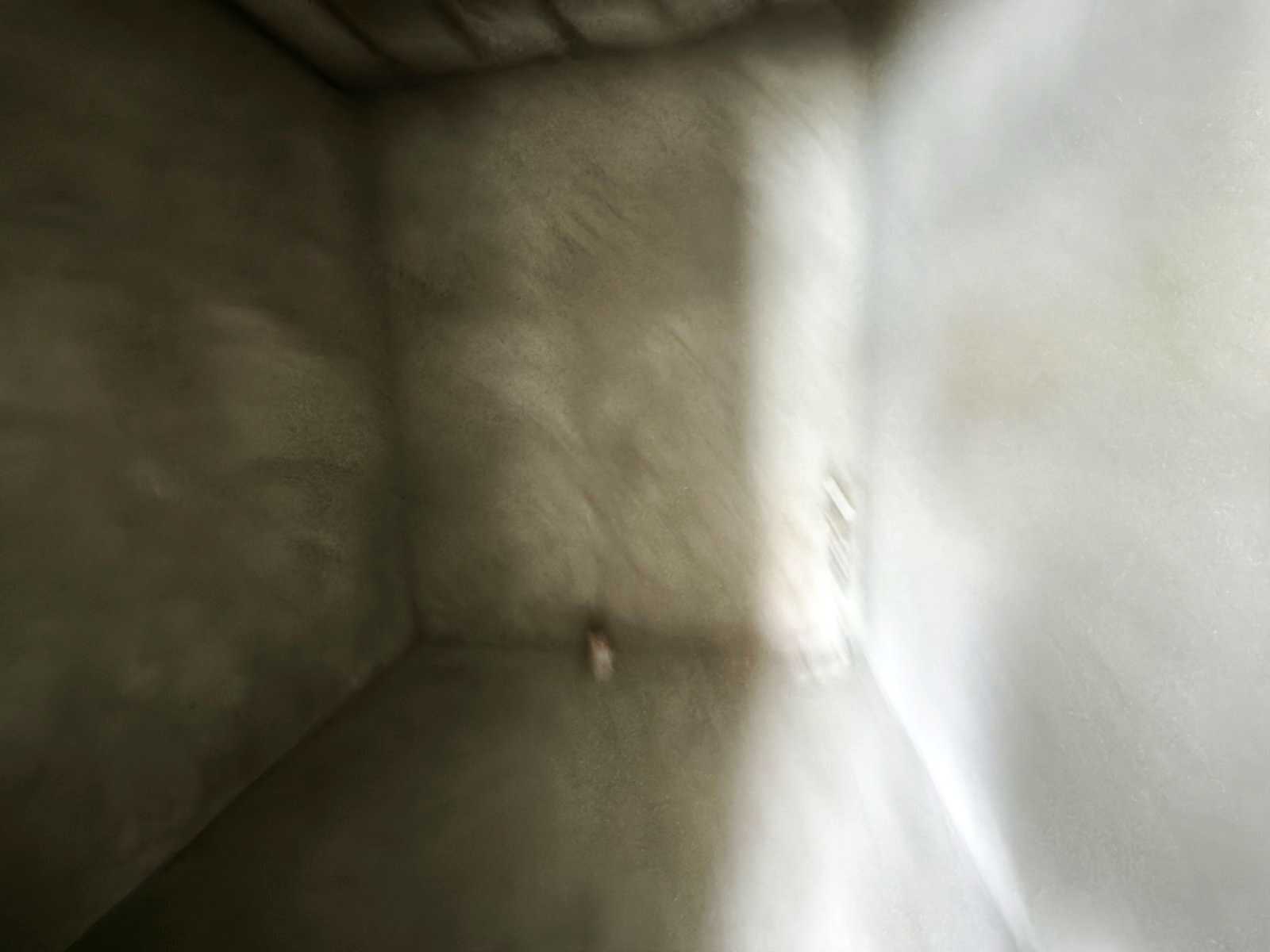 1867613203335808