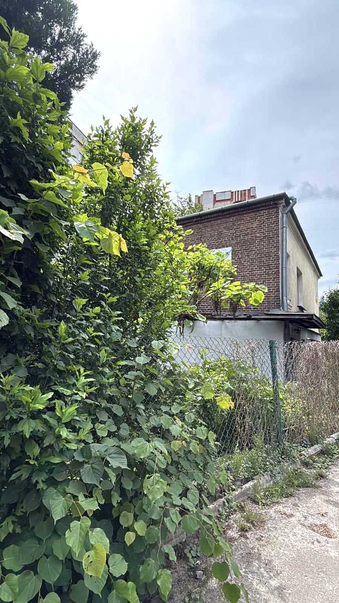 1867620368839397