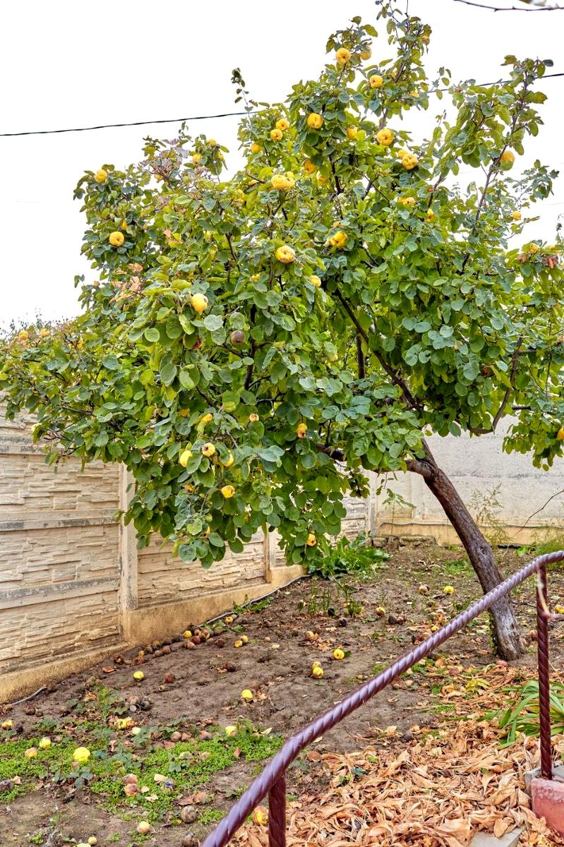 Дом по адресу ул. Химическая (площадь 75 м²) - imageAlt 19 Дом по адресу ул. Химическая (площадь 75 м²) - Atlanta.ua - imageAlt 19