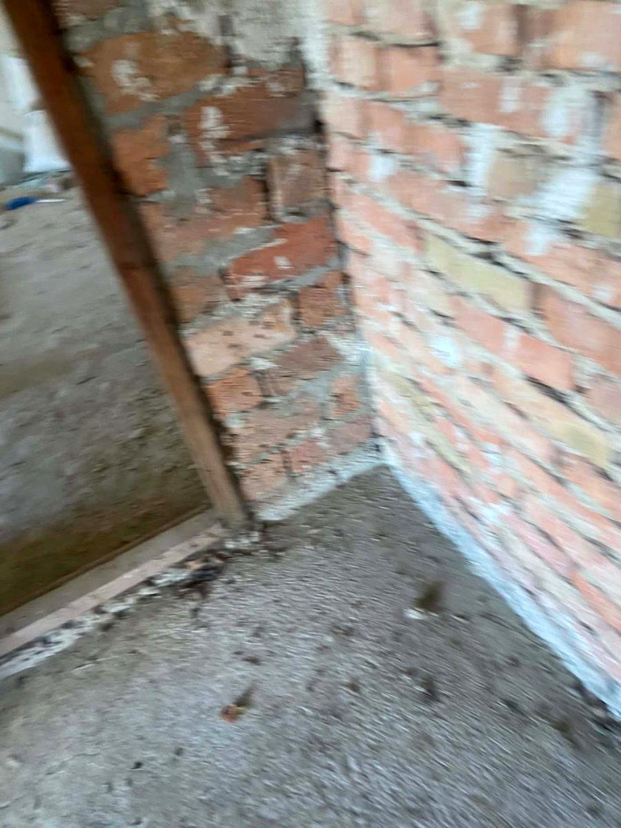 1867687167922377