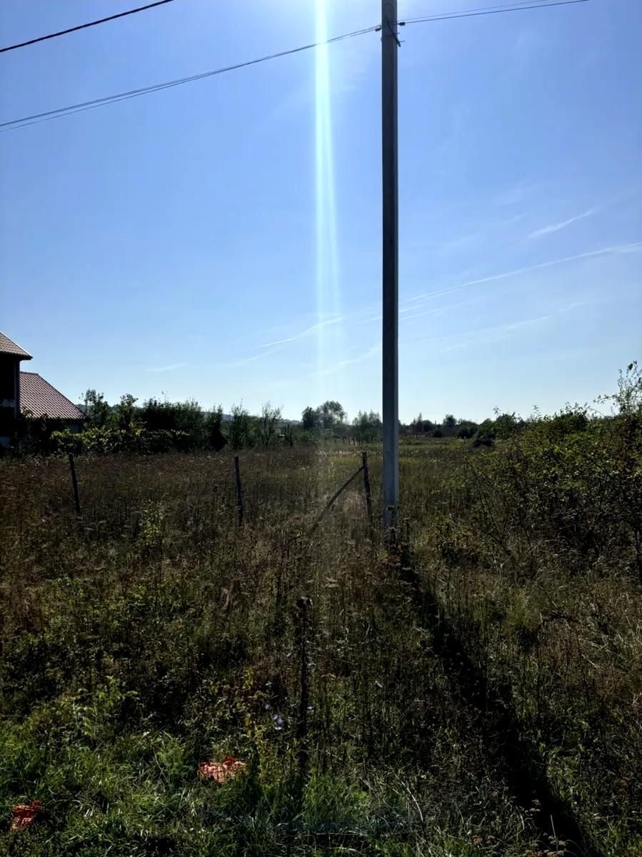 1867688172463577