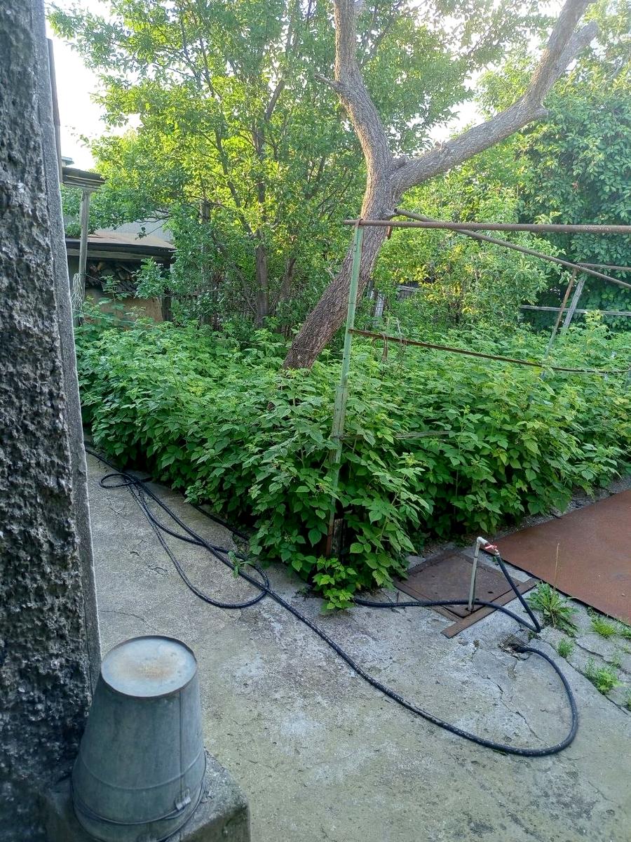 Дом по адресу ул. Житомирская (площадь 80 м²) - imageAlt 5 Дом по адресу ул. Житомирская (площадь 80 м²) - Atlanta.ua - imageAlt 5