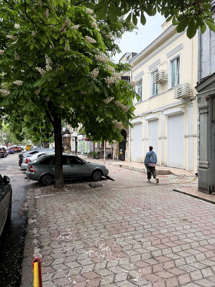 Коммерческая недвижимость по адресу (площадь 171 м²) - фото 2 Коммерческая недвижимость по адресу (площадь 171 м²) - Atlanta.ua - фото 2