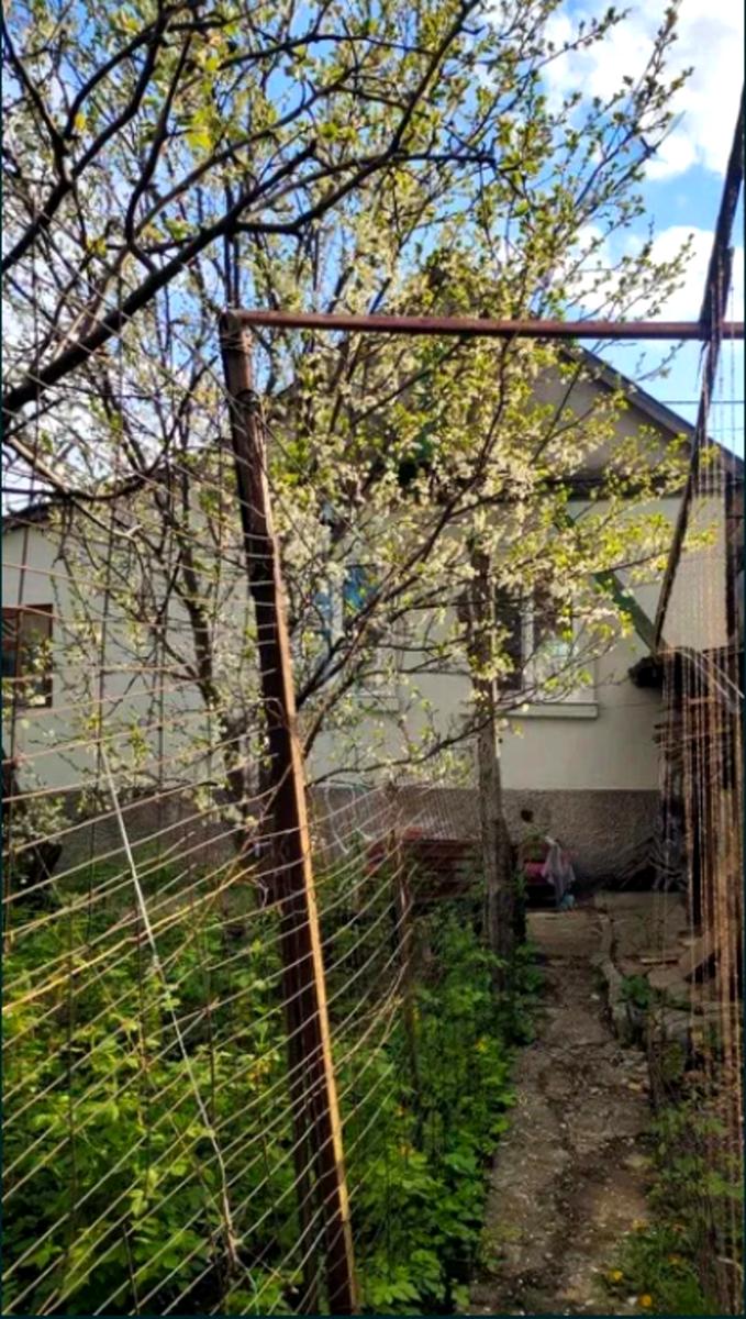 Дом по адресу ул. Бугаевская (площадь 67 м²) - imageAlt 4 Дом по адресу ул. Бугаевская (площадь 67 м²) - Atlanta.ua - imageAlt 4