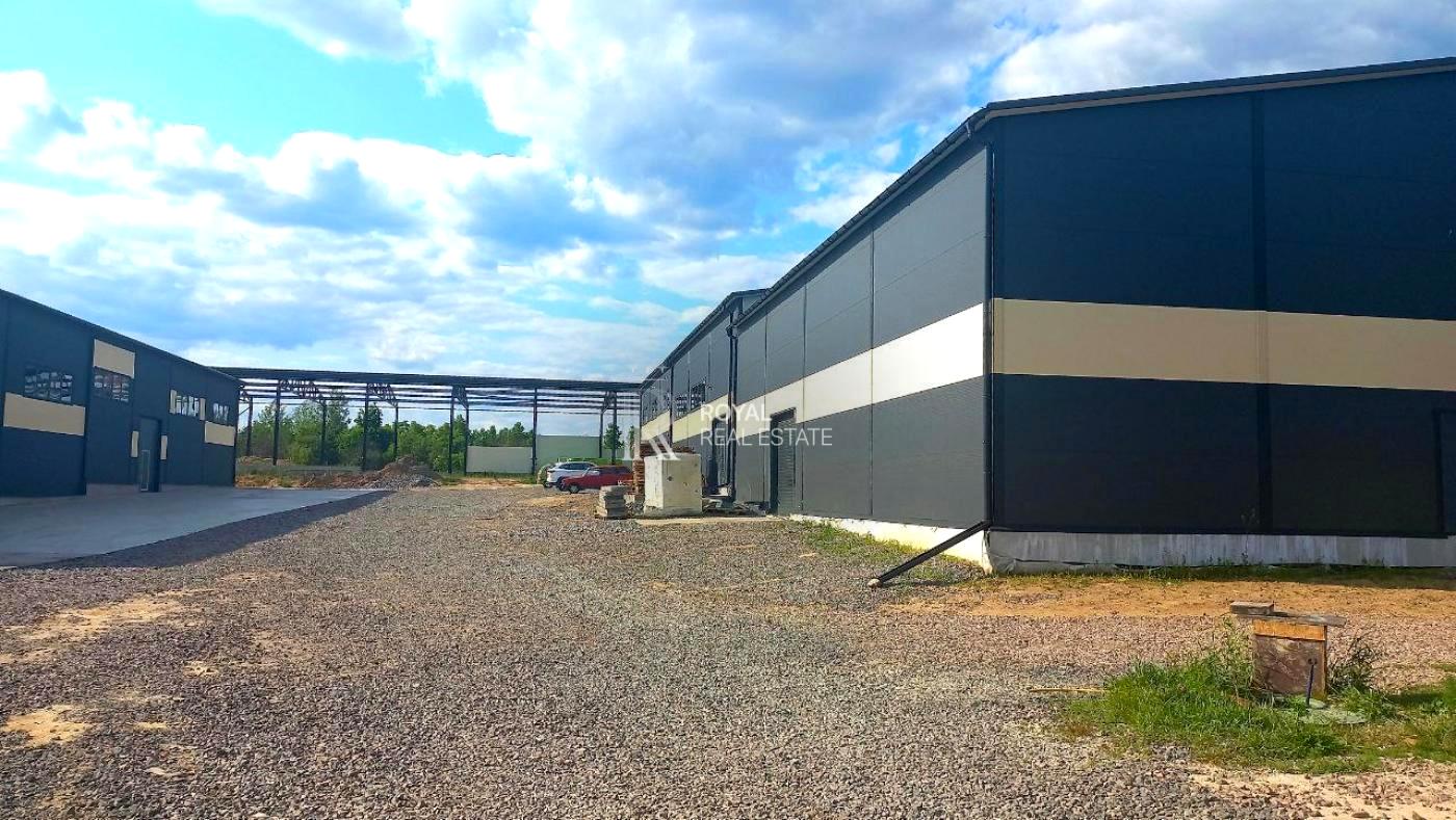 1867734817709583