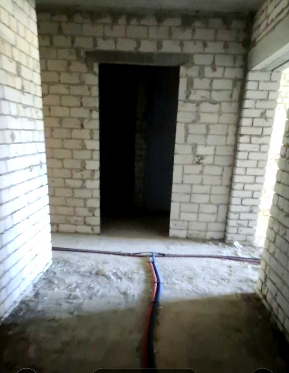 1867772748669653