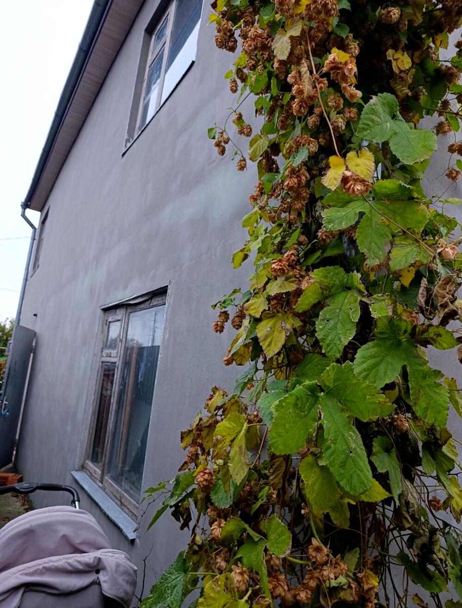 Будинок за адресою Чорноморський 8-й пров. (площа 324 м²) Будинок за адресою Чорноморський 8-й пров. (площа 324 м²) - Atlanta.ua