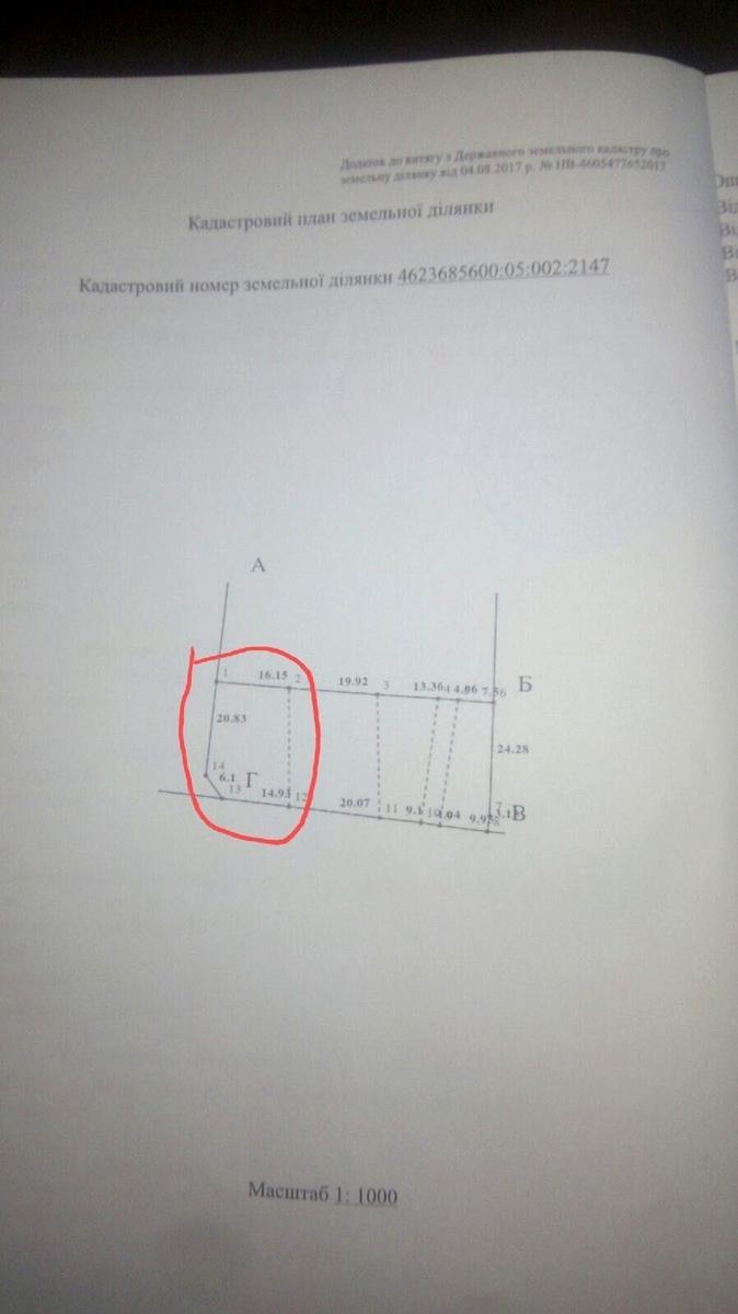 1867801470633331.jpg