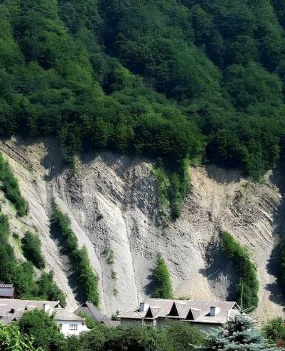 1867806072429529