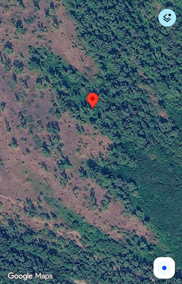 1867905758031724