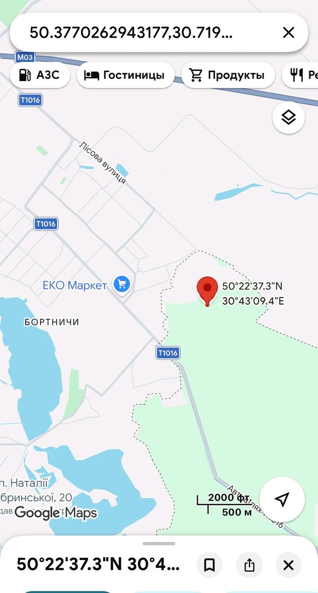 1868058454762514