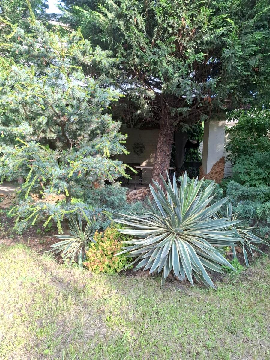 Будинок за адресою вул. Новоберегова (площа 245 м²) - фото 7 Будинок за адресою вул. Новоберегова (площа 245 м²) - Atlanta.ua - фото 7