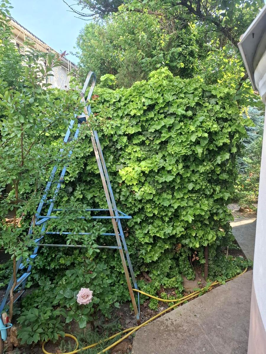 Будинок за адресою вул. Новоберегова (площа 245 м²) - фото 13 Будинок за адресою вул. Новоберегова (площа 245 м²) - Atlanta.ua - фото 13