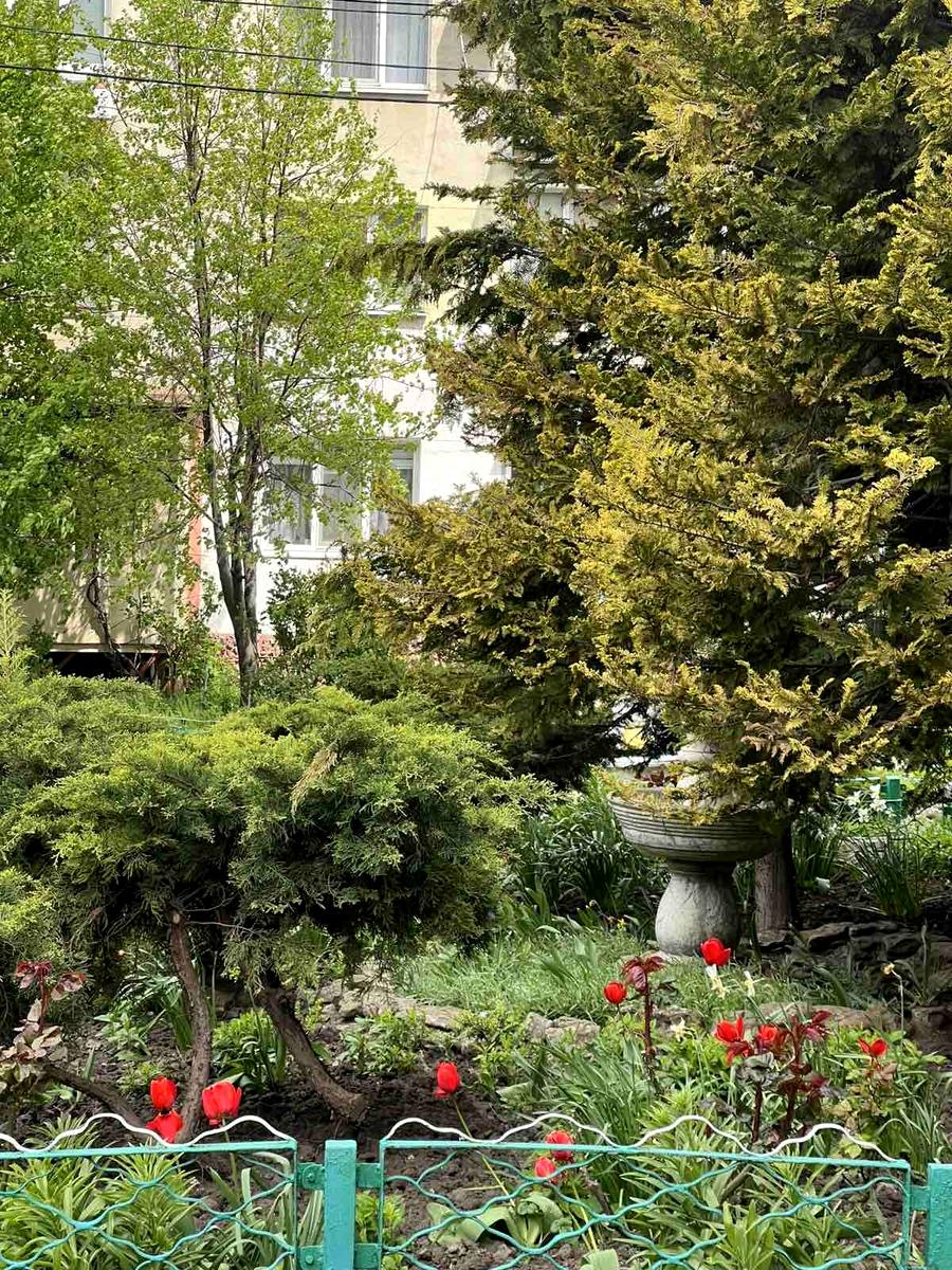 2-кімнатна квартира за адресою вул. Виноградна (площа 51,5 м²) - фото 16 2-кімнатна квартира за адресою вул. Виноградна (площа 51,5 м²) - Atlanta.ua - фото 16