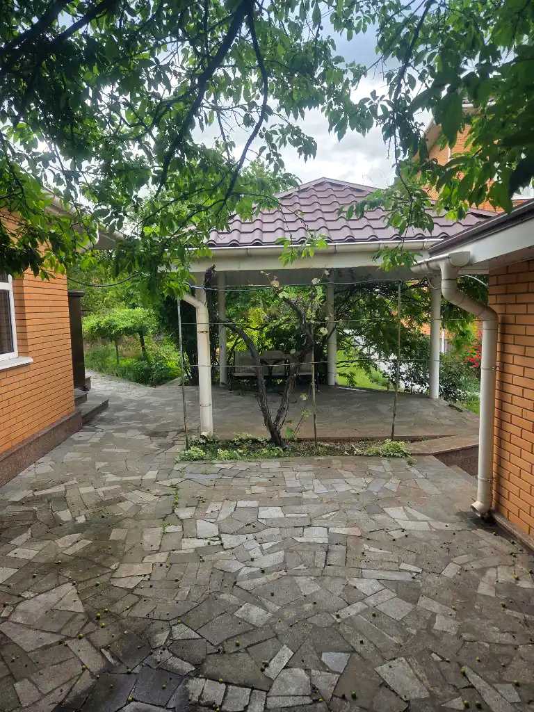1868165504806194